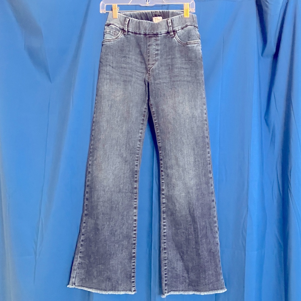 BEVY FLOG Jeans, Size 26, Elastic Waist Blue Denim Jeans